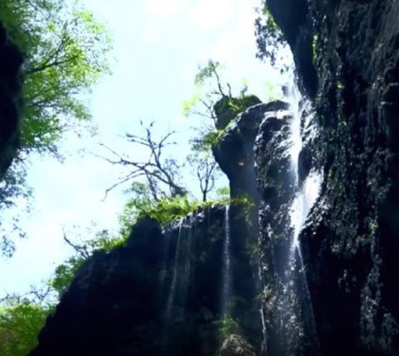 青山綠水，白龍江畔江畔息白鷺，兩岸綠橄欖入眼的都是純樸自然枝上花開(kāi)，春來(lái)水暖魚(yú)蝦戲水，鳥(niǎo)語(yǔ)花香心中充滿(mǎn)著舒暢之感祥宇生態(tài)產(chǎn)業(yè)園，位于隴南市武..